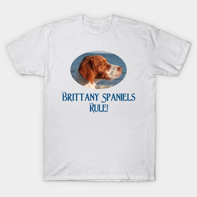 Brittany Spaniels Rulel T-Shirt by Naves